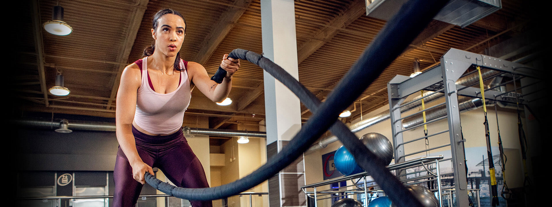 Costco banner desktop